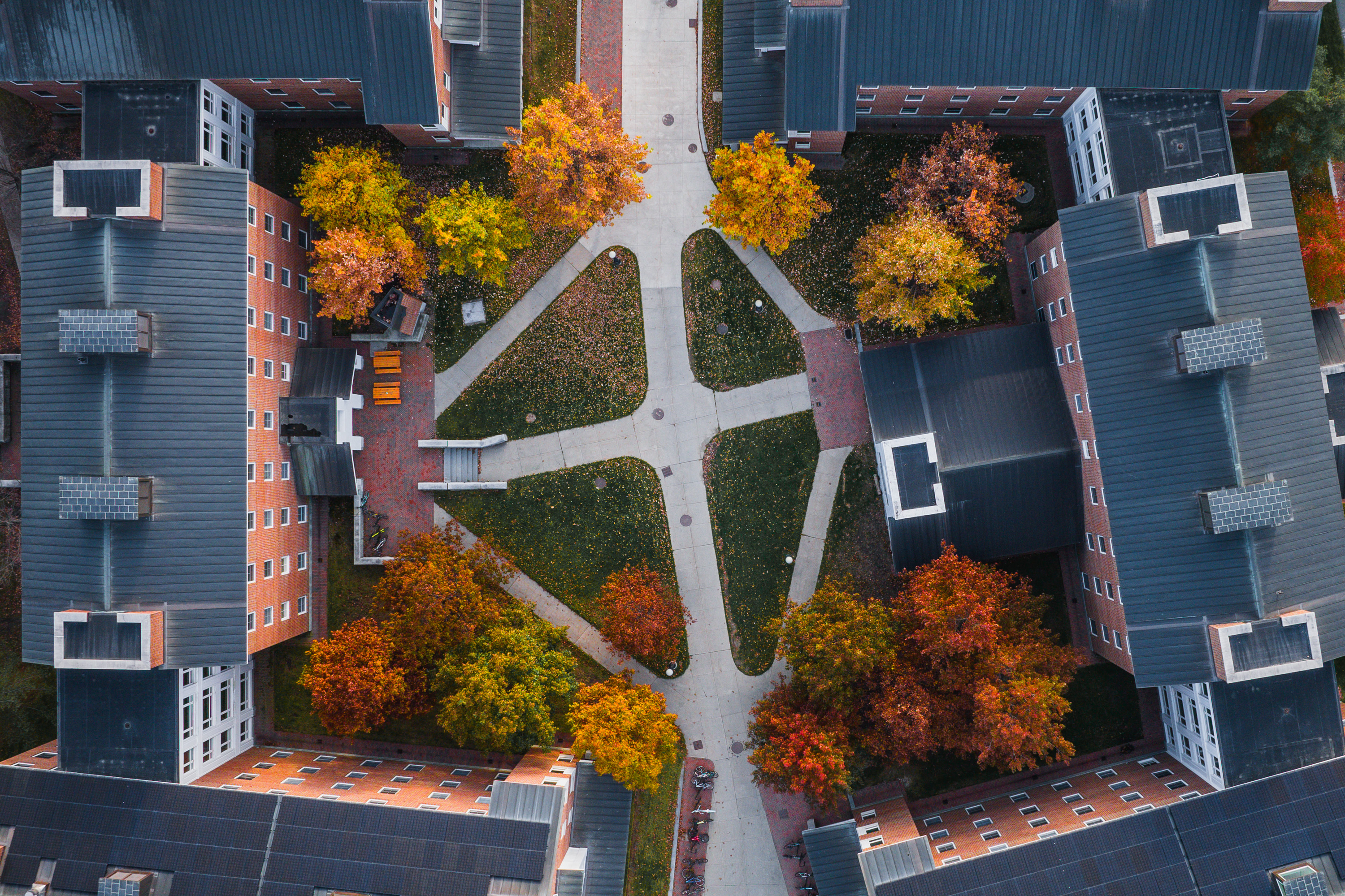 Aerial view of a campus sidewalk