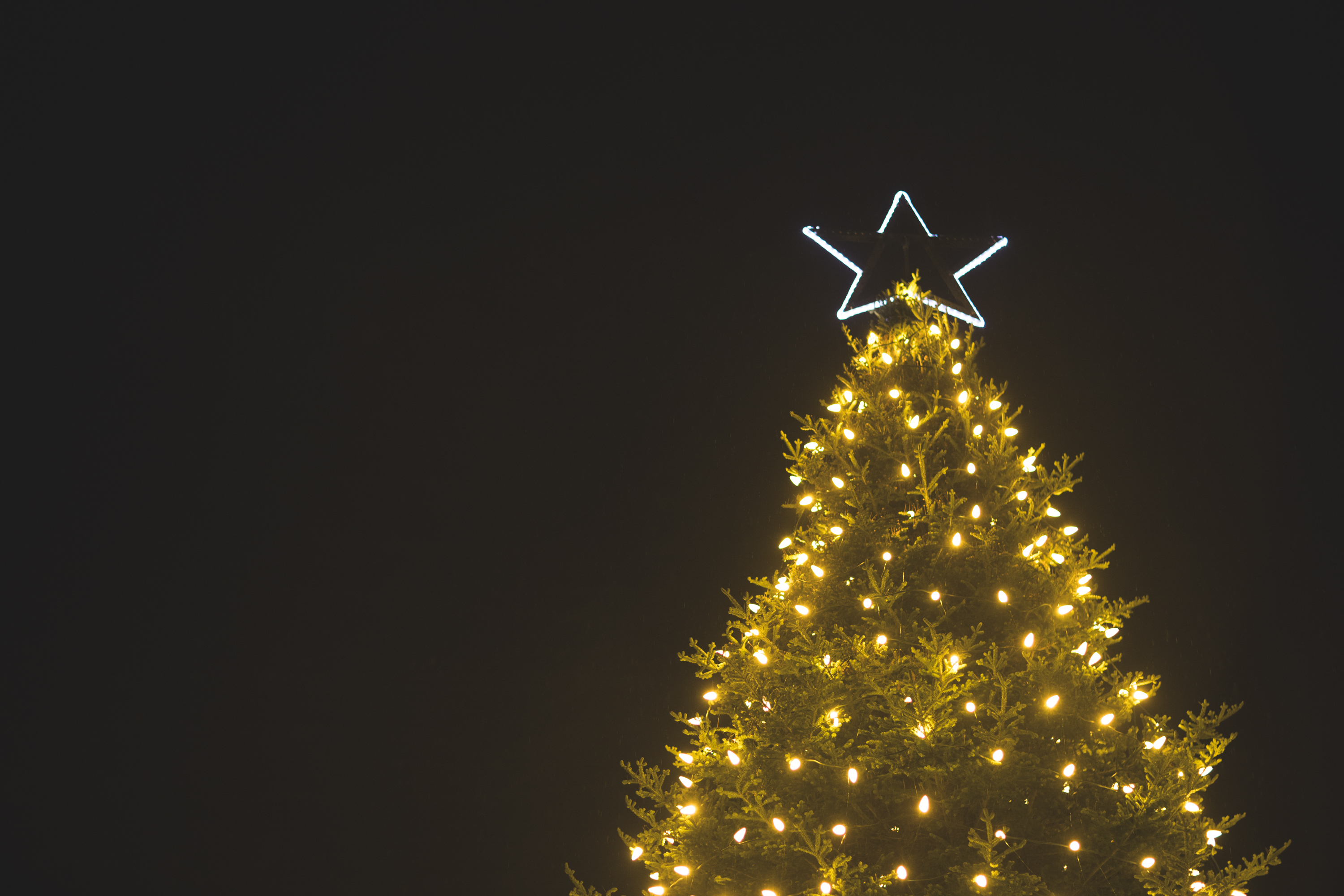 Christmas tree