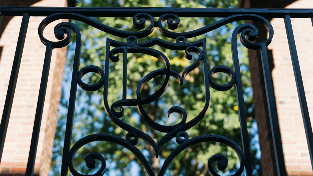 Wrought iron fence