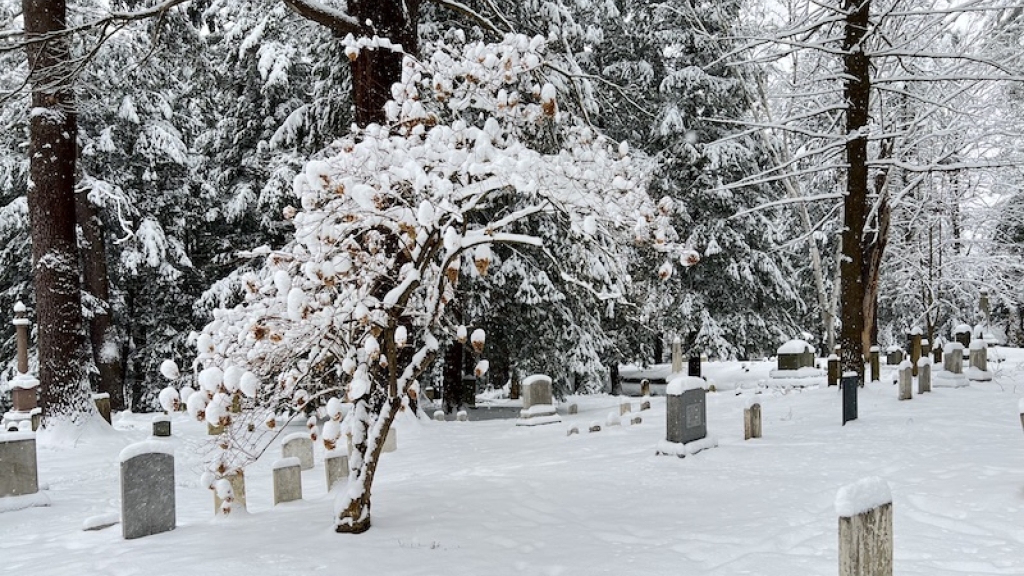 Dartmouth Cemetery